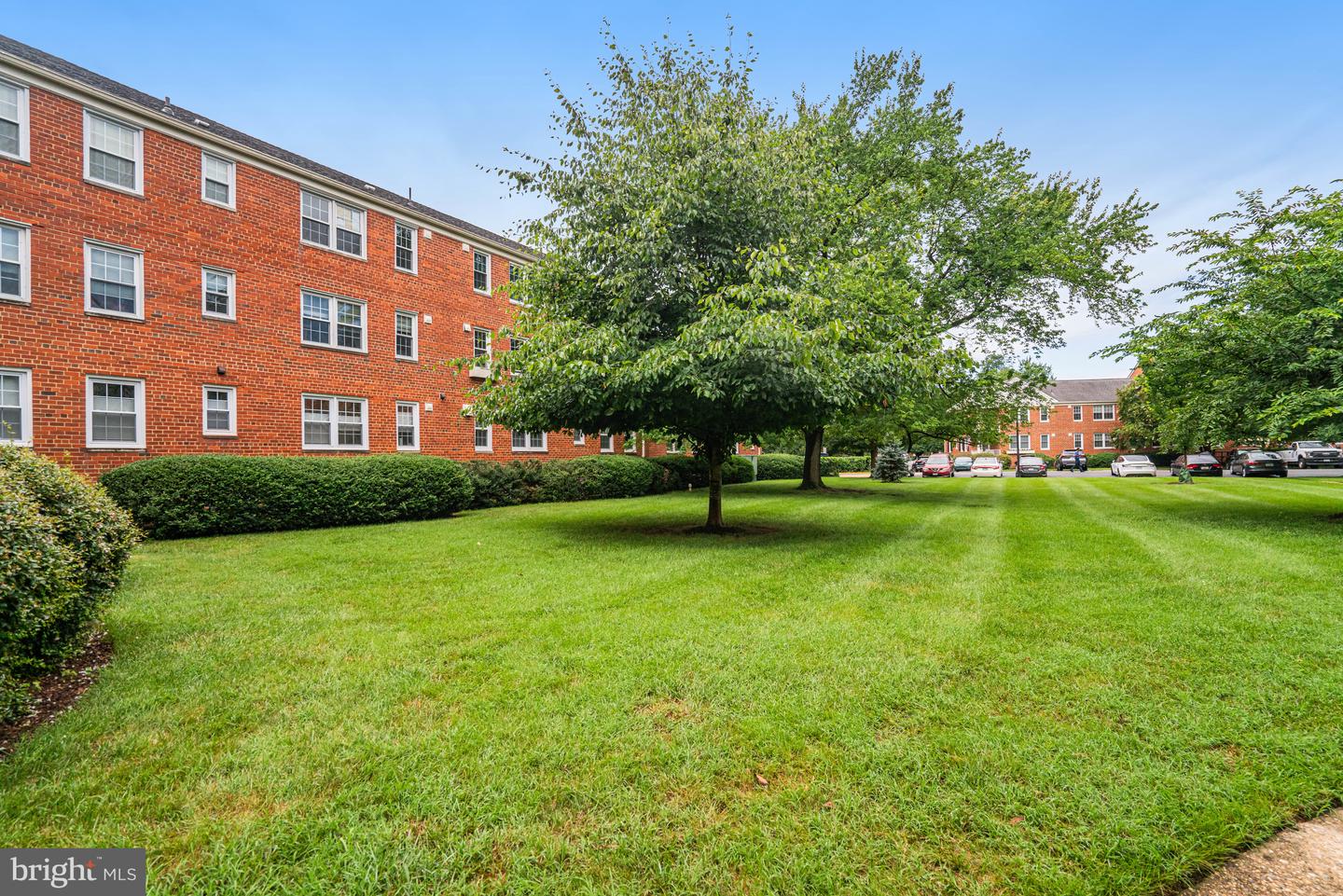 6625 10TH ST #A1, ALEXANDRIA, Virginia 22307, 3 Bedrooms Bedrooms, ,1 BathroomBathrooms,Residential,For sale,6625 10TH ST #A1,VAFX2249844 MLS # VAFX2249844