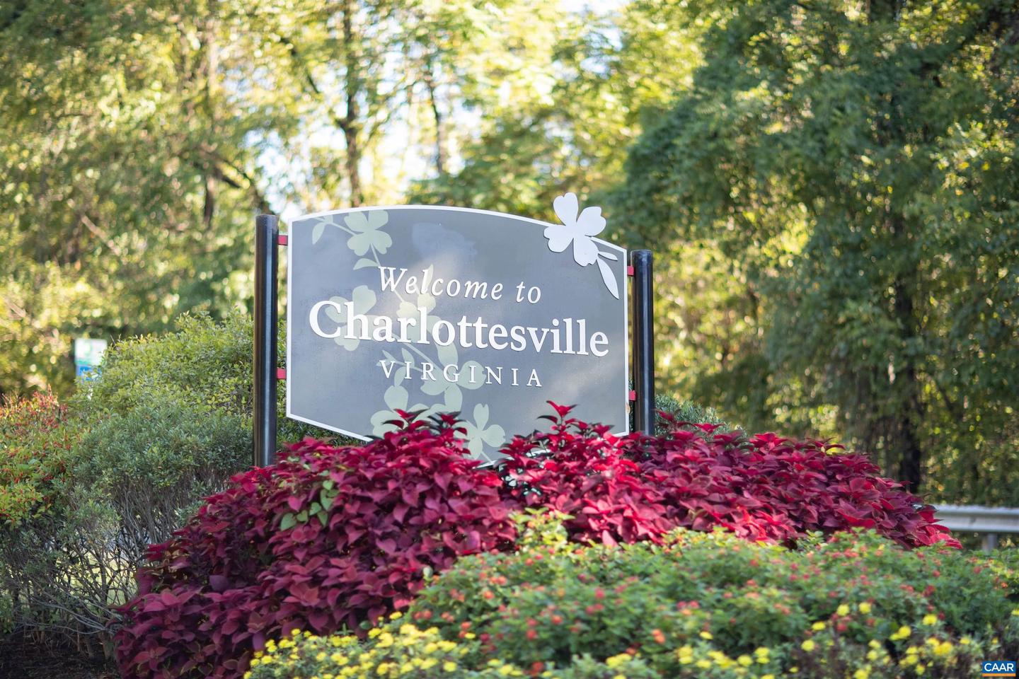500 COURT SQ #901, CHARLOTTESVILLE, Virginia 22902, 1 Bedroom Bedrooms, ,1 BathroomBathrooms,Residential,For sale,500 COURT SQ #901,666534 MLS # 666534