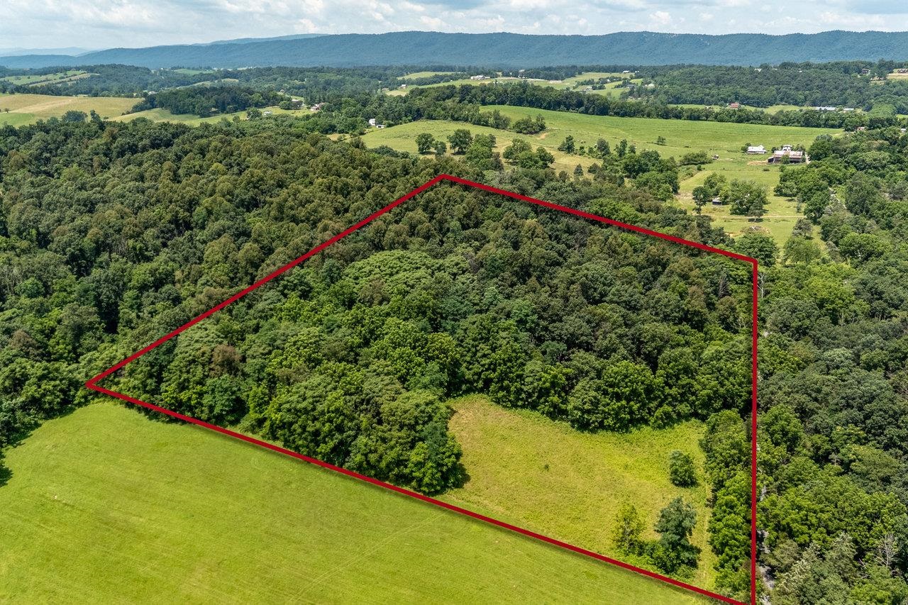 TBD WILLIAMSBURG RD, LINVILLE, Virginia 22834, ,Land,TBD WILLIAMSBURG RD,666555 MLS # 666555