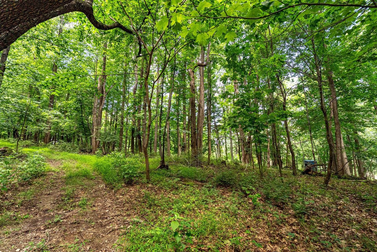 TBD WILLIAMSBURG RD, LINVILLE, Virginia 22834, ,Land,TBD WILLIAMSBURG RD,666555 MLS # 666555