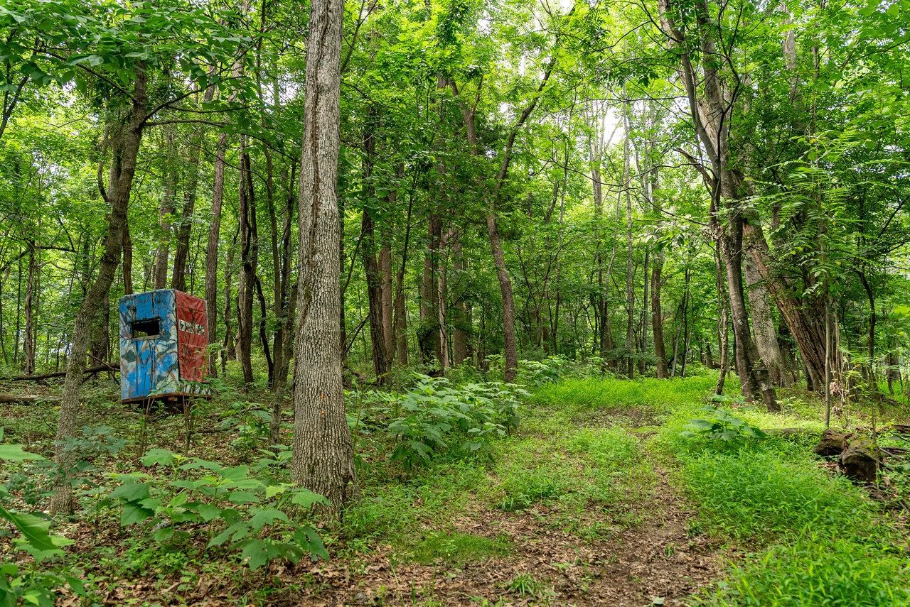 TBD WILLIAMSBURG RD, LINVILLE, Virginia 22834, ,Land,TBD WILLIAMSBURG RD,666555 MLS # 666555