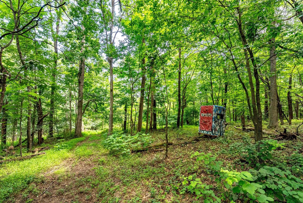 TBD WILLIAMSBURG RD, LINVILLE, Virginia 22834, ,Land,TBD WILLIAMSBURG RD,666555 MLS # 666555