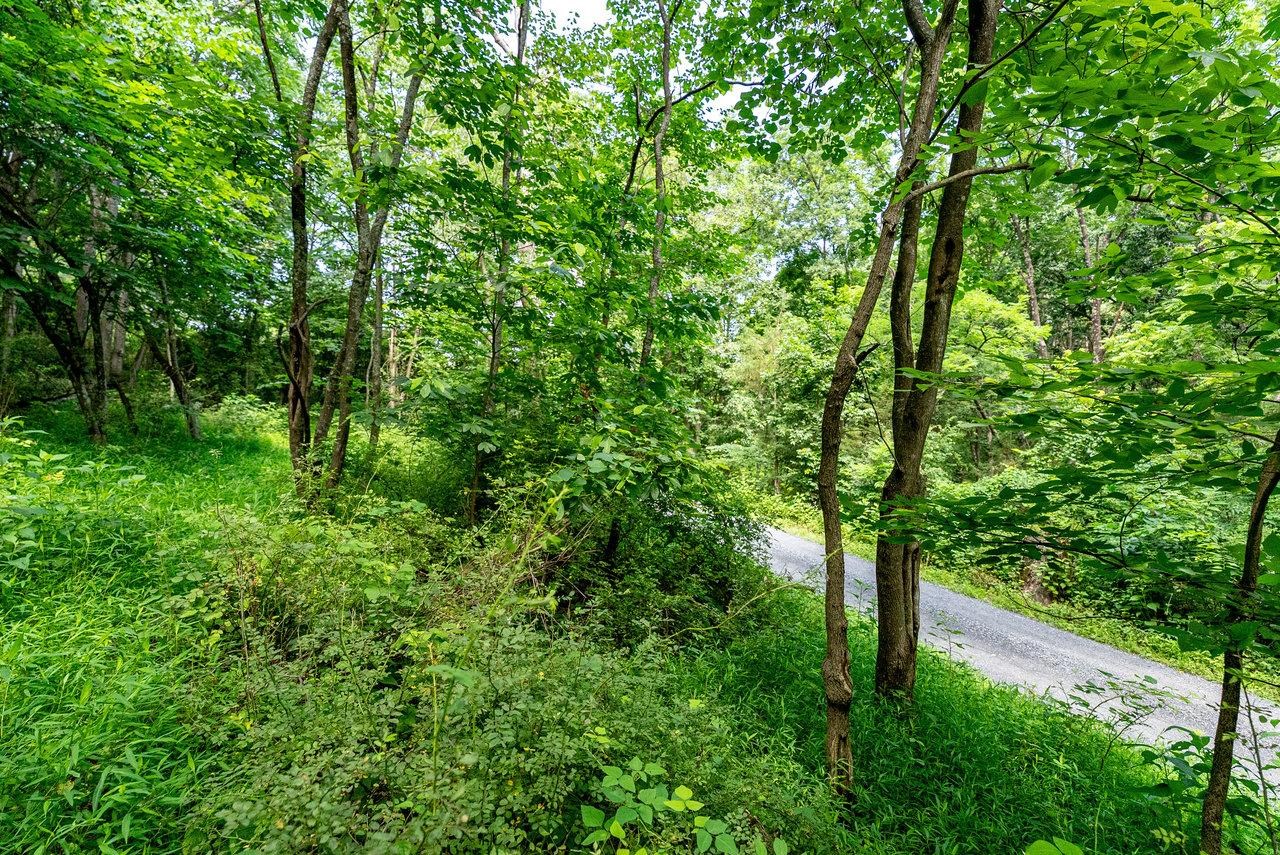 TBD WILLIAMSBURG RD, LINVILLE, Virginia 22834, ,Land,TBD WILLIAMSBURG RD,666555 MLS # 666555