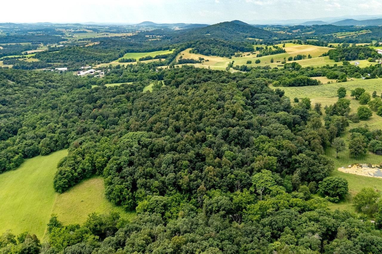 TBD WILLIAMSBURG RD, LINVILLE, Virginia 22834, ,Land,TBD WILLIAMSBURG RD,666555 MLS # 666555