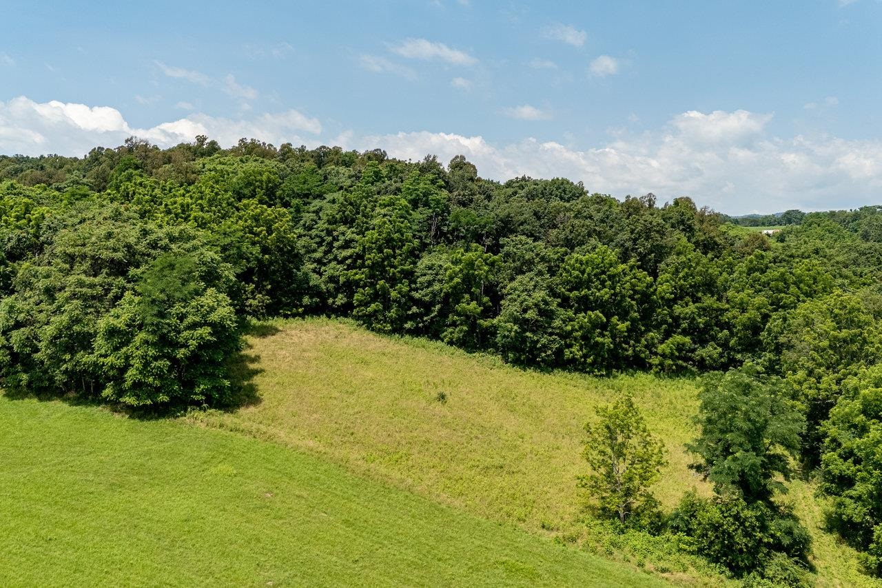TBD WILLIAMSBURG RD, LINVILLE, Virginia 22834, ,Land,TBD WILLIAMSBURG RD,666555 MLS # 666555