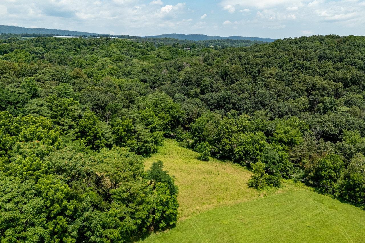 TBD WILLIAMSBURG RD, LINVILLE, Virginia 22834, ,Land,TBD WILLIAMSBURG RD,666555 MLS # 666555