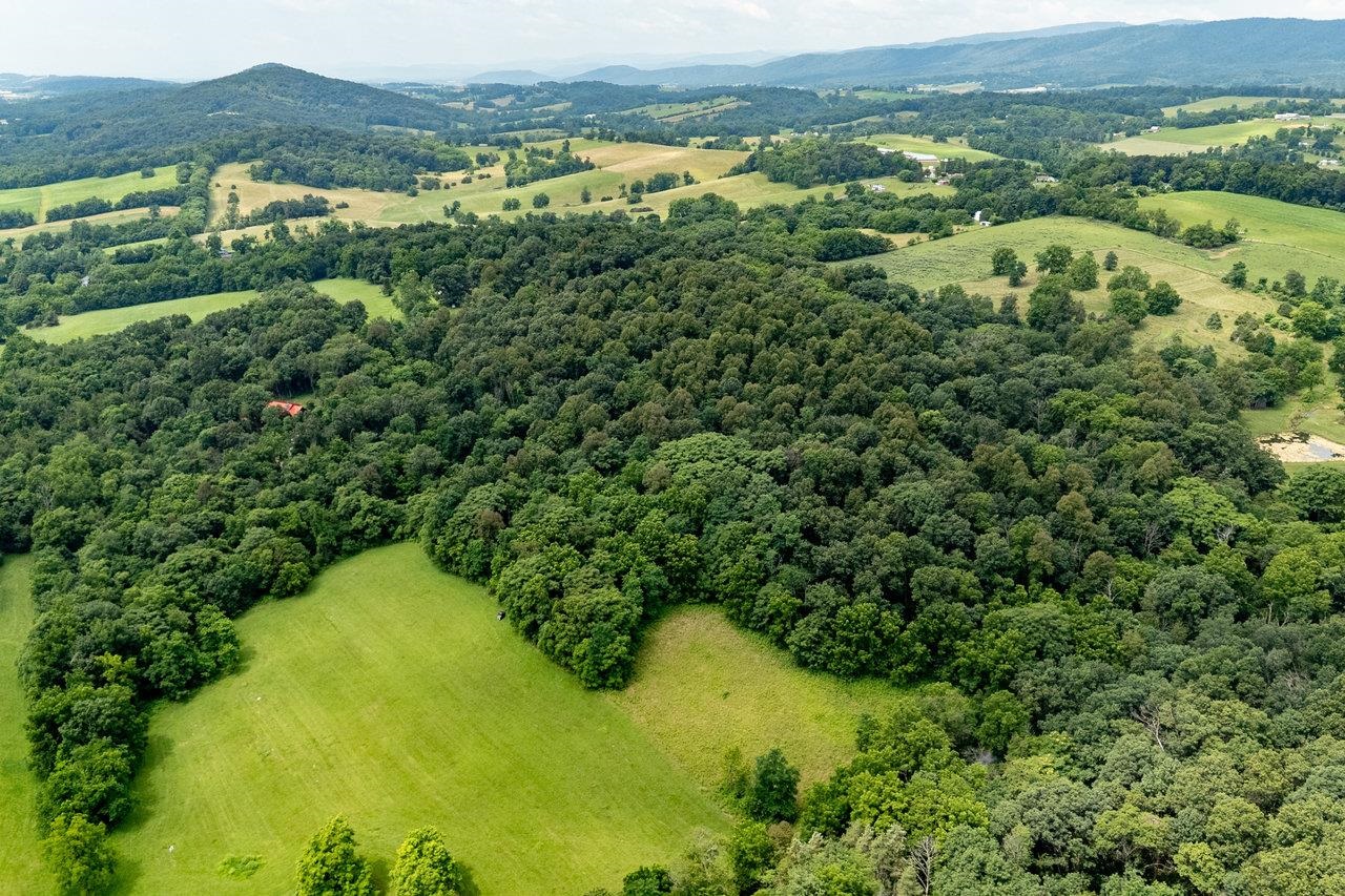 TBD WILLIAMSBURG RD, LINVILLE, Virginia 22834, ,Land,TBD WILLIAMSBURG RD,666555 MLS # 666555