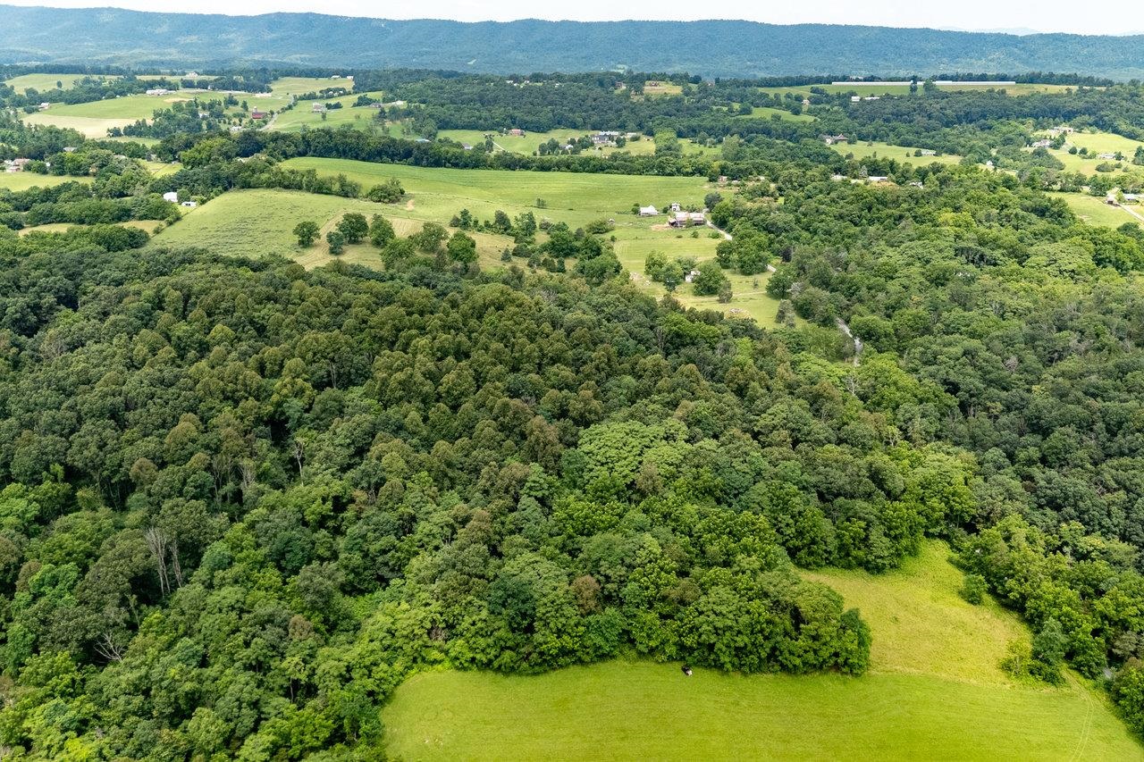TBD WILLIAMSBURG RD, LINVILLE, Virginia 22834, ,Land,TBD WILLIAMSBURG RD,666555 MLS # 666555