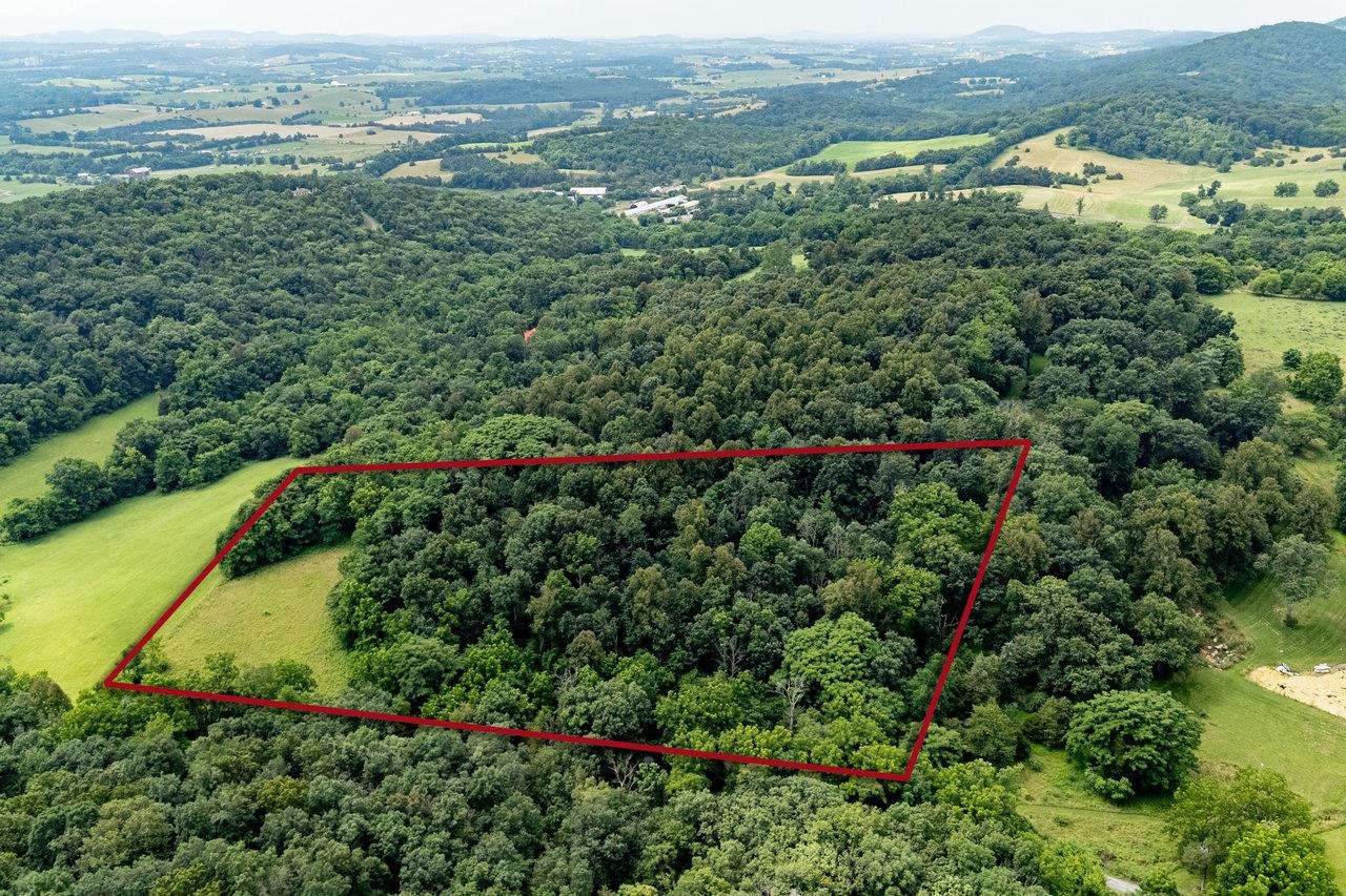 TBD WILLIAMSBURG RD, LINVILLE, Virginia 22834, ,Land,TBD WILLIAMSBURG RD,666555 MLS # 666555