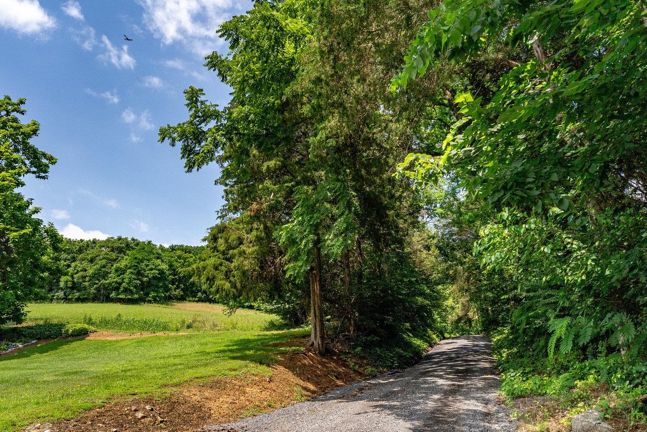 TBD WILLIAMSBURG RD, LINVILLE, Virginia 22834, ,Land,TBD WILLIAMSBURG RD,666555 MLS # 666555