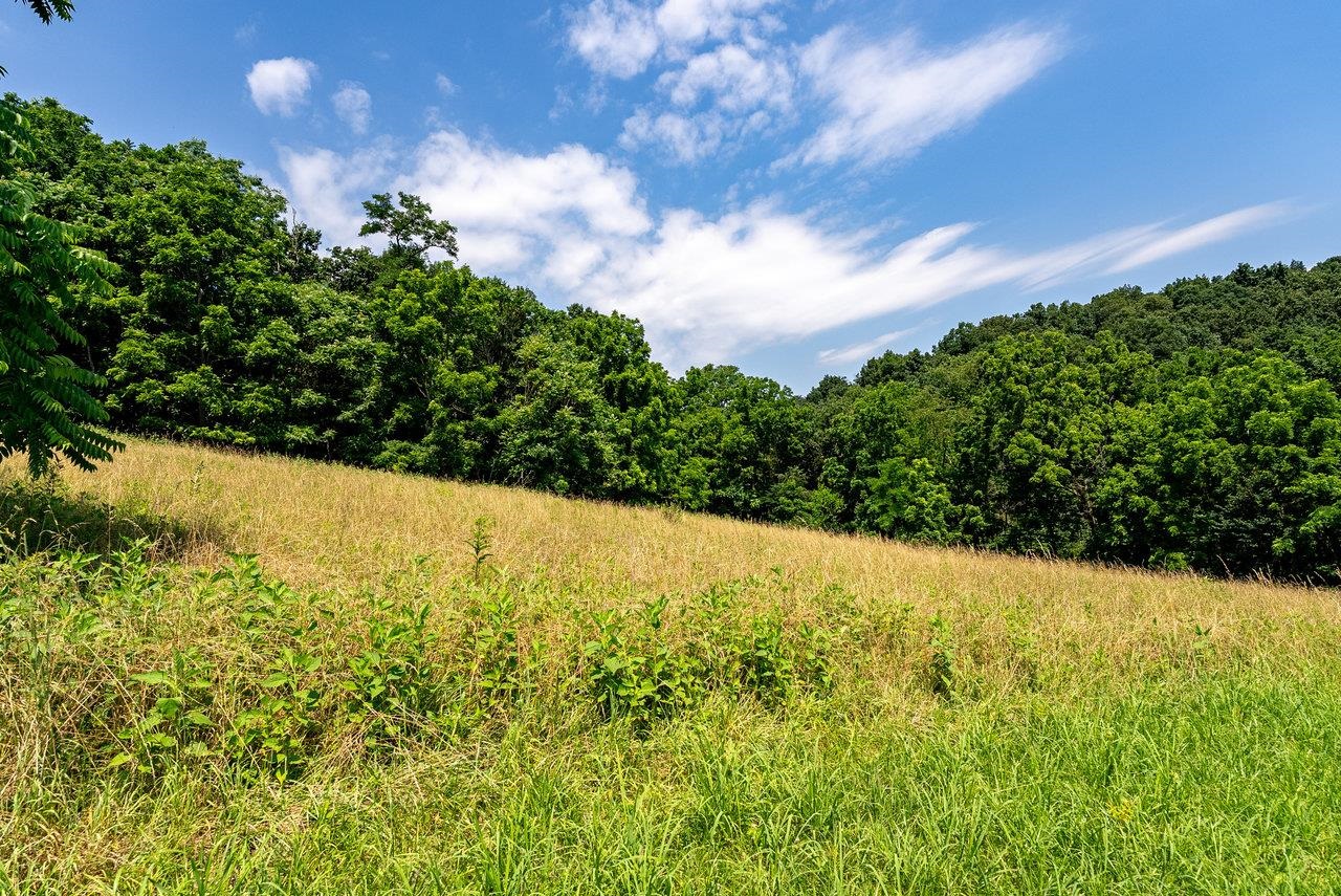 TBD WILLIAMSBURG RD, LINVILLE, Virginia 22834, ,Land,TBD WILLIAMSBURG RD,666555 MLS # 666555