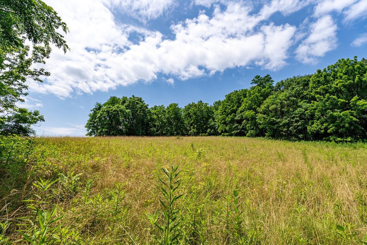 TBD WILLIAMSBURG RD, LINVILLE, Virginia 22834, ,Land,TBD WILLIAMSBURG RD,666555 MLS # 666555