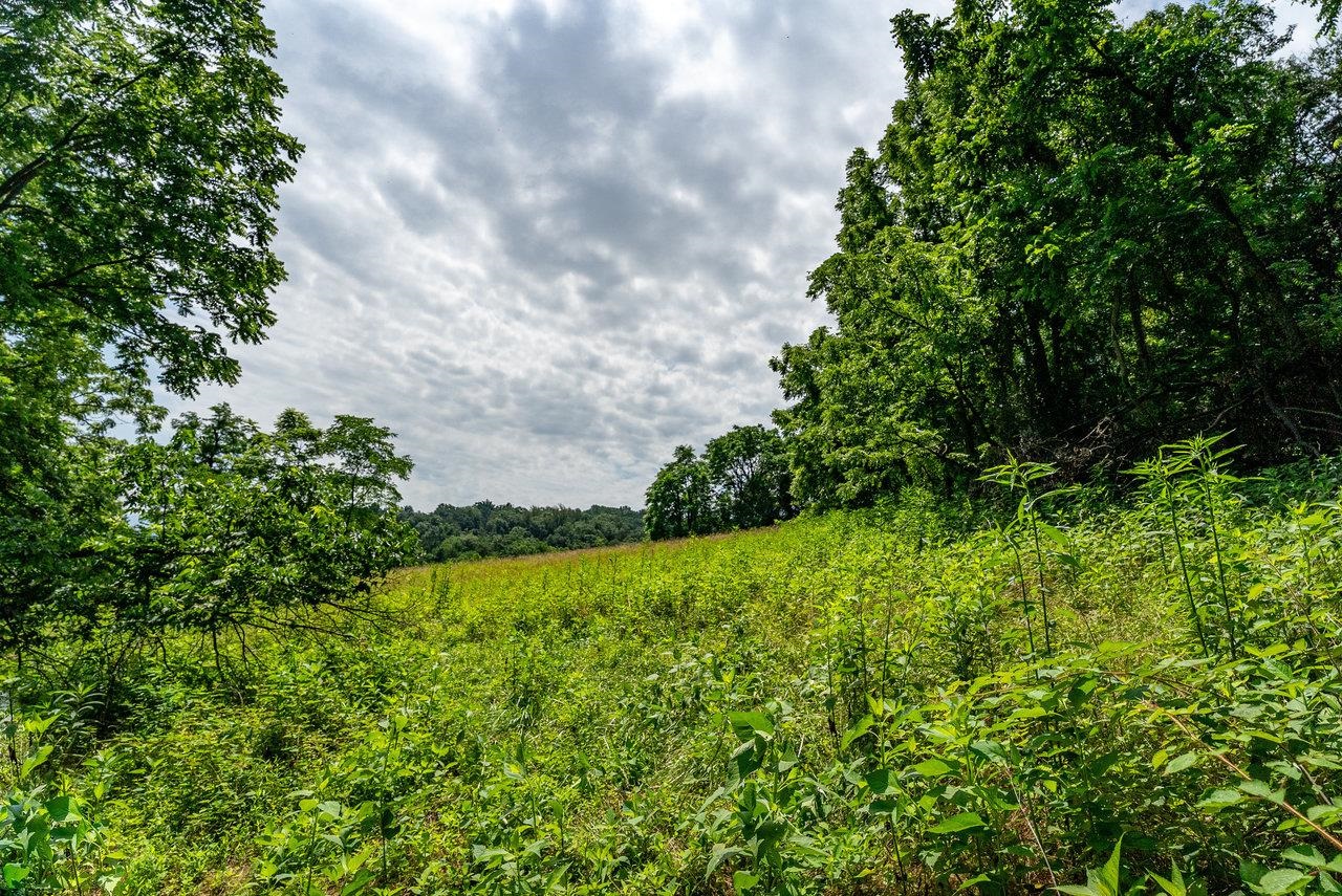 TBD WILLIAMSBURG RD, LINVILLE, Virginia 22834, ,Land,TBD WILLIAMSBURG RD,666555 MLS # 666555