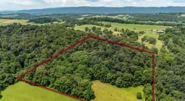 TBD WILLIAMSBURG RD, LINVILLE, Virginia 22834, ,Land,TBD WILLIAMSBURG RD,666555 MLS # 666555