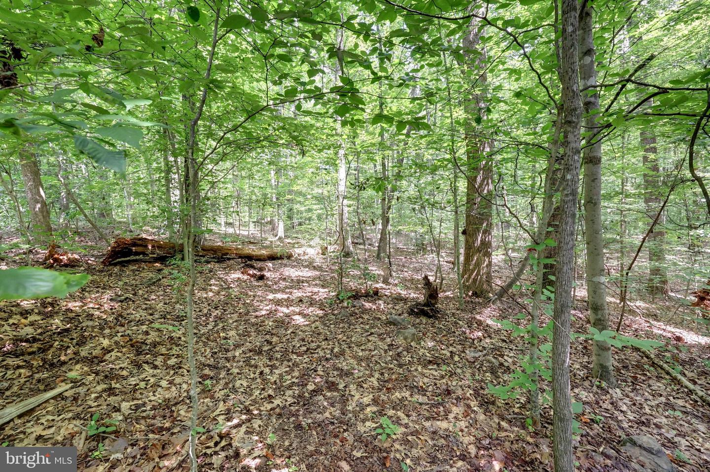 7823 WILLOWBROOK RD, FAIRFAX STATION, Virginia 22039, ,Land,For sale,7823 WILLOWBROOK RD,VAFX2253920 MLS # VAFX2253920