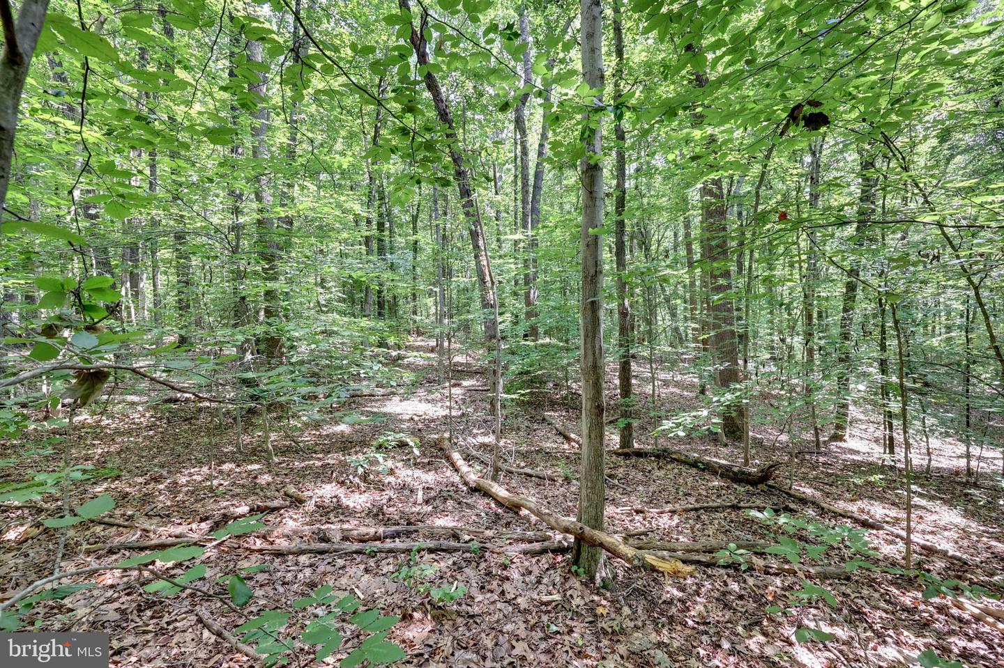 7823 WILLOWBROOK RD, FAIRFAX STATION, Virginia 22039, ,Land,For sale,7823 WILLOWBROOK RD,VAFX2253920 MLS # VAFX2253920