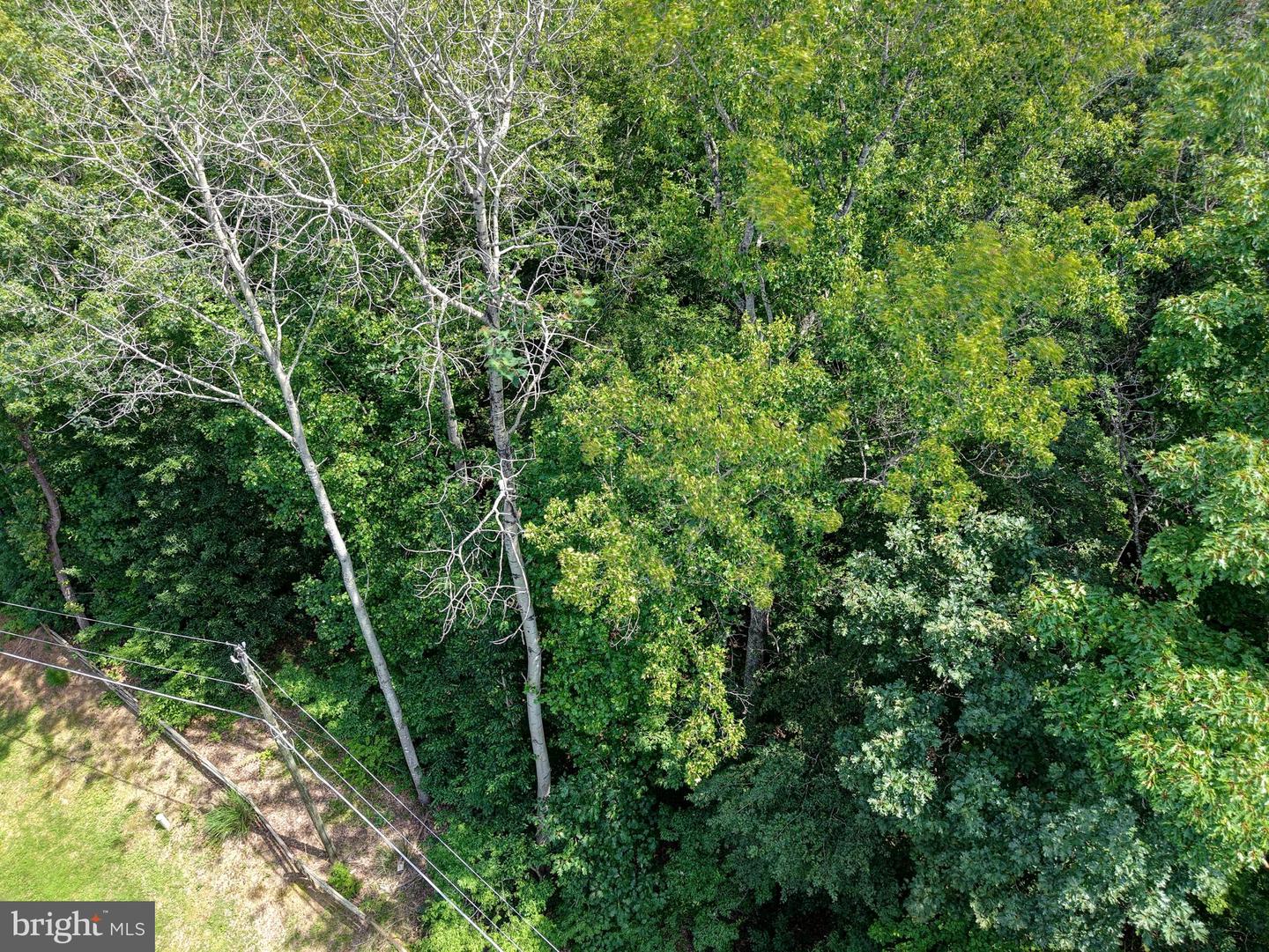 7823 WILLOWBROOK RD, FAIRFAX STATION, Virginia 22039, ,Land,For sale,7823 WILLOWBROOK RD,VAFX2253920 MLS # VAFX2253920