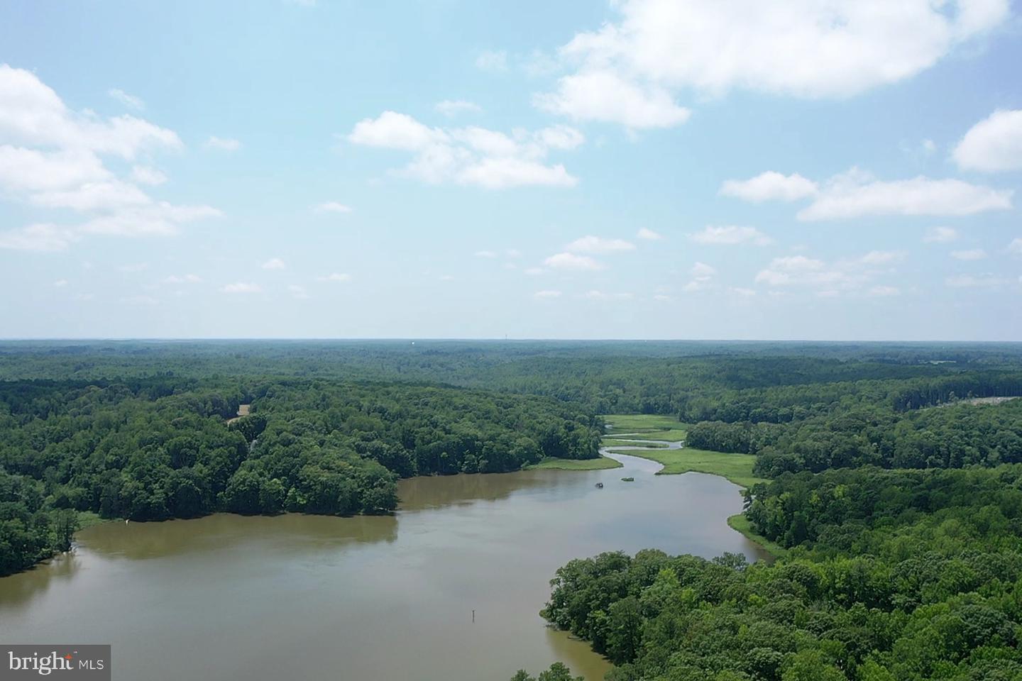 0 UNKNOWN, MONTROSS, Virginia 22520, ,Land,For sale,0 UNKNOWN,VAWE2009268 MLS # VAWE2009268