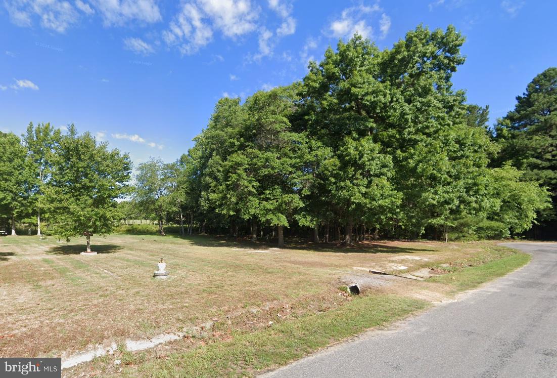 0 CIRCLEWOOD DR, PETERSBURG, Virginia 23803, ,Land,For sale,0 CIRCLEWOOD DR,VAPC2000130 MLS # VAPC2000130