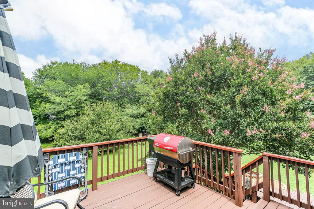 10708 LIVE OAK CT, FREDERICKSBURG, Virginia 22407, 4 Bedrooms Bedrooms, ,3 BathroomsBathrooms,Residential,10708 LIVE OAK CT,VASP2034584 MLS # VASP2034584