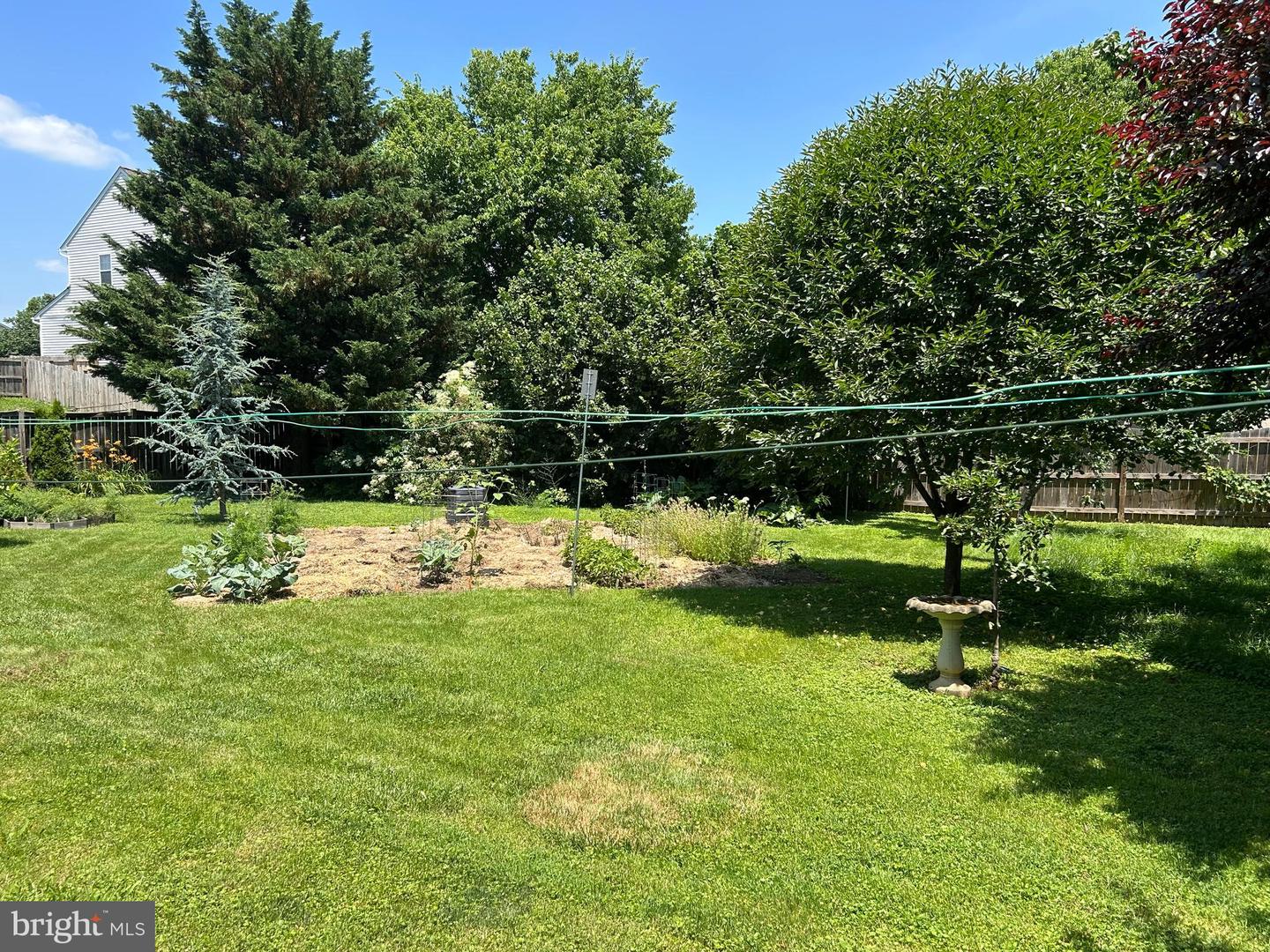 317 FIRST ST, BERRYVILLE, Virginia 22611, 3 Bedrooms Bedrooms, ,1 BathroomBathrooms,Residential,For sale,317 FIRST ST,VACL2003874 MLS # VACL2003874