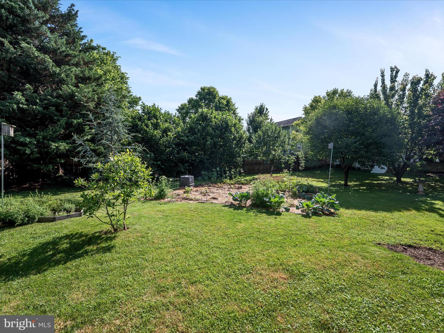 317 FIRST ST, BERRYVILLE, Virginia 22611, 3 Bedrooms Bedrooms, ,1 BathroomBathrooms,Residential,For sale,317 FIRST ST,VACL2003874 MLS # VACL2003874
