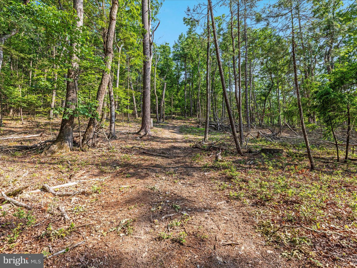 QUAIL RD, BASYE, Virginia 22810, ,Land,For sale,QUAIL RD,VASH2011686 MLS # VASH2011686