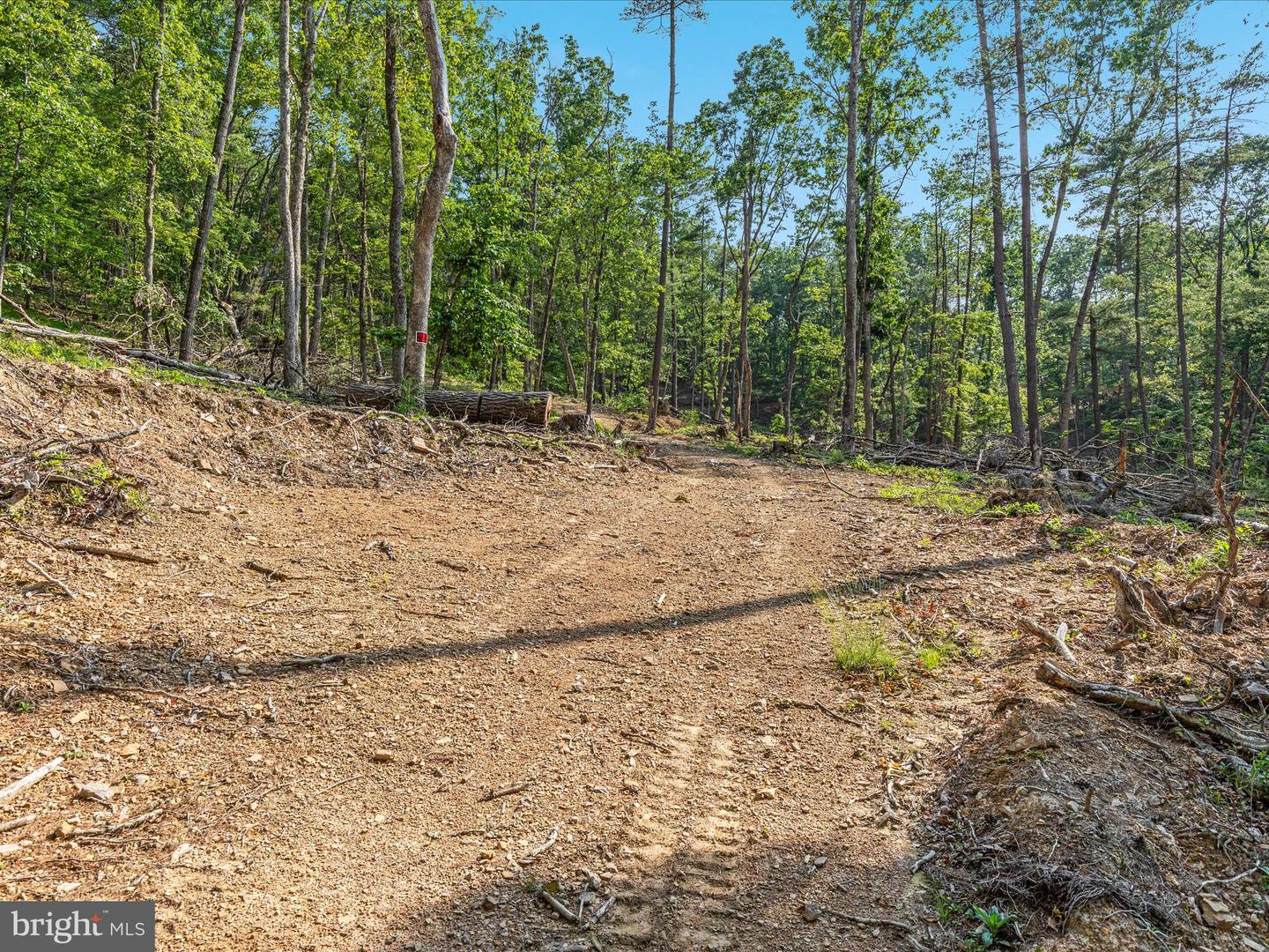 QUAIL RD, BASYE, Virginia 22810, ,Land,For sale,QUAIL RD,VASH2011686 MLS # VASH2011686