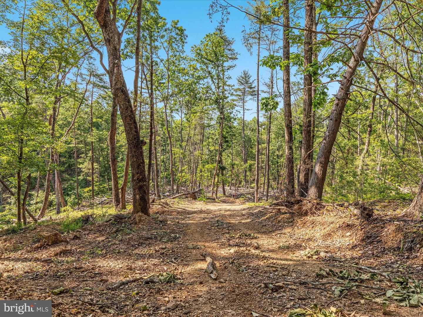 QUAIL RD, BASYE, Virginia 22810, ,Land,For sale,QUAIL RD,VASH2011686 MLS # VASH2011686