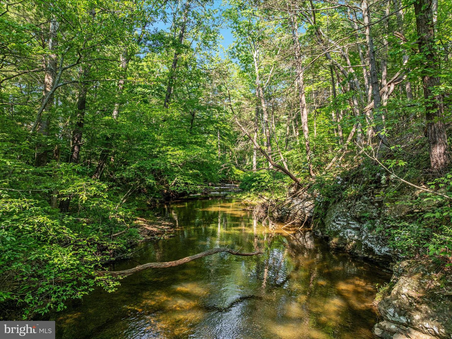 QUAIL RD, BASYE, Virginia 22810, ,Land,For sale,QUAIL RD,VASH2011686 MLS # VASH2011686
