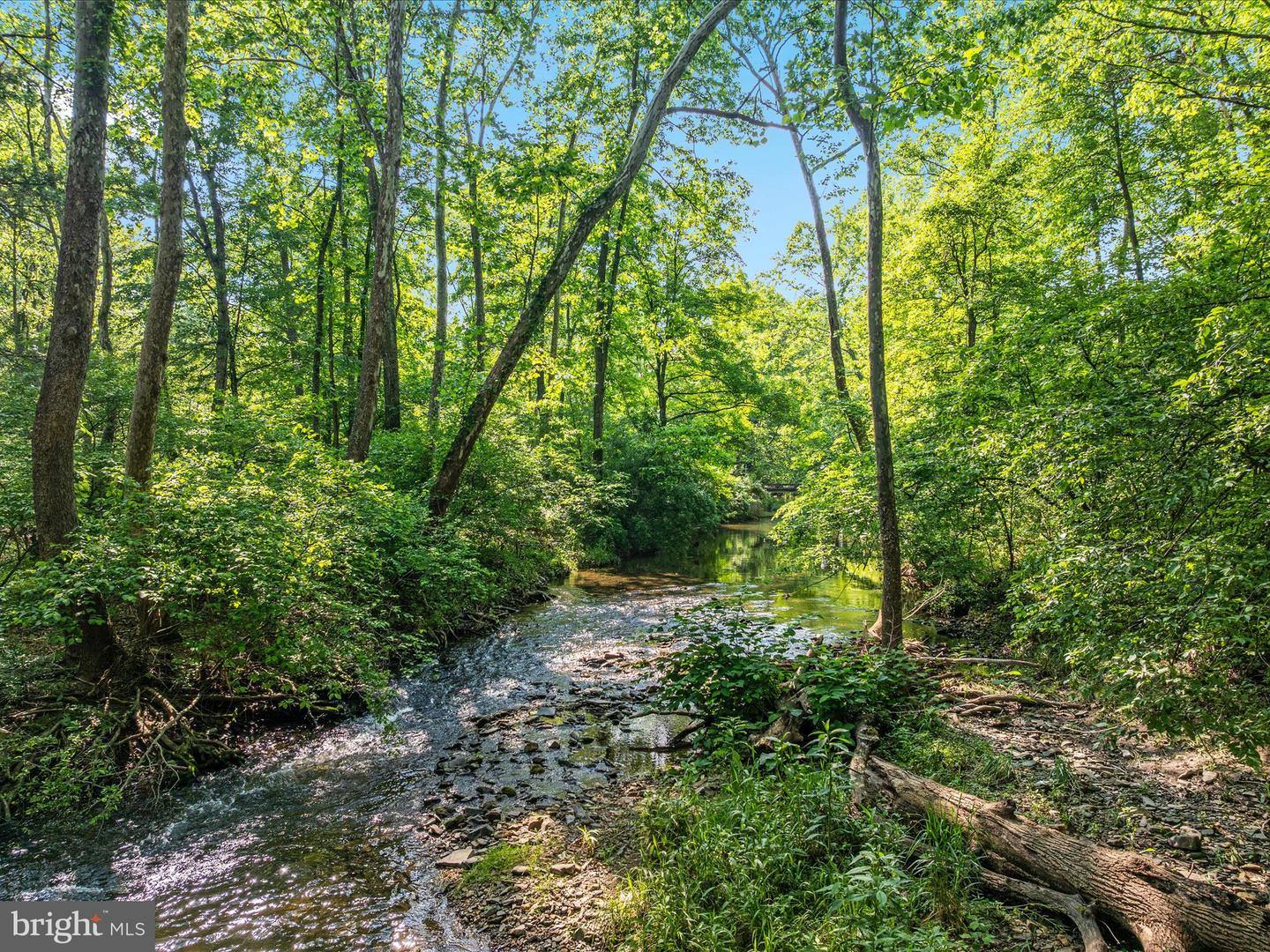 QUAIL RD, BASYE, Virginia 22810, ,Land,For sale,QUAIL RD,VASH2011686 MLS # VASH2011686