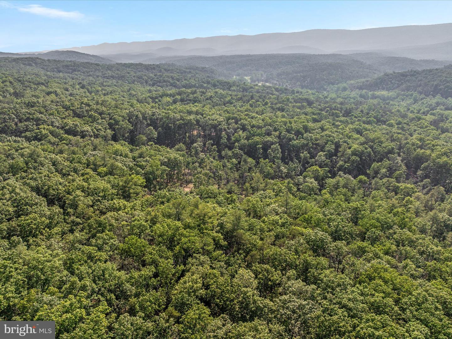 QUAIL RD, BASYE, Virginia 22810, ,Land,For sale,QUAIL RD,VASH2011686 MLS # VASH2011686