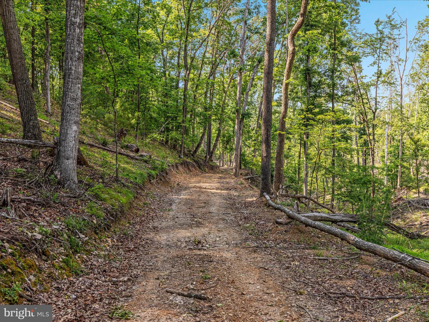 QUAIL RD, BASYE, Virginia 22810, ,Land,For sale,QUAIL RD,VASH2011686 MLS # VASH2011686