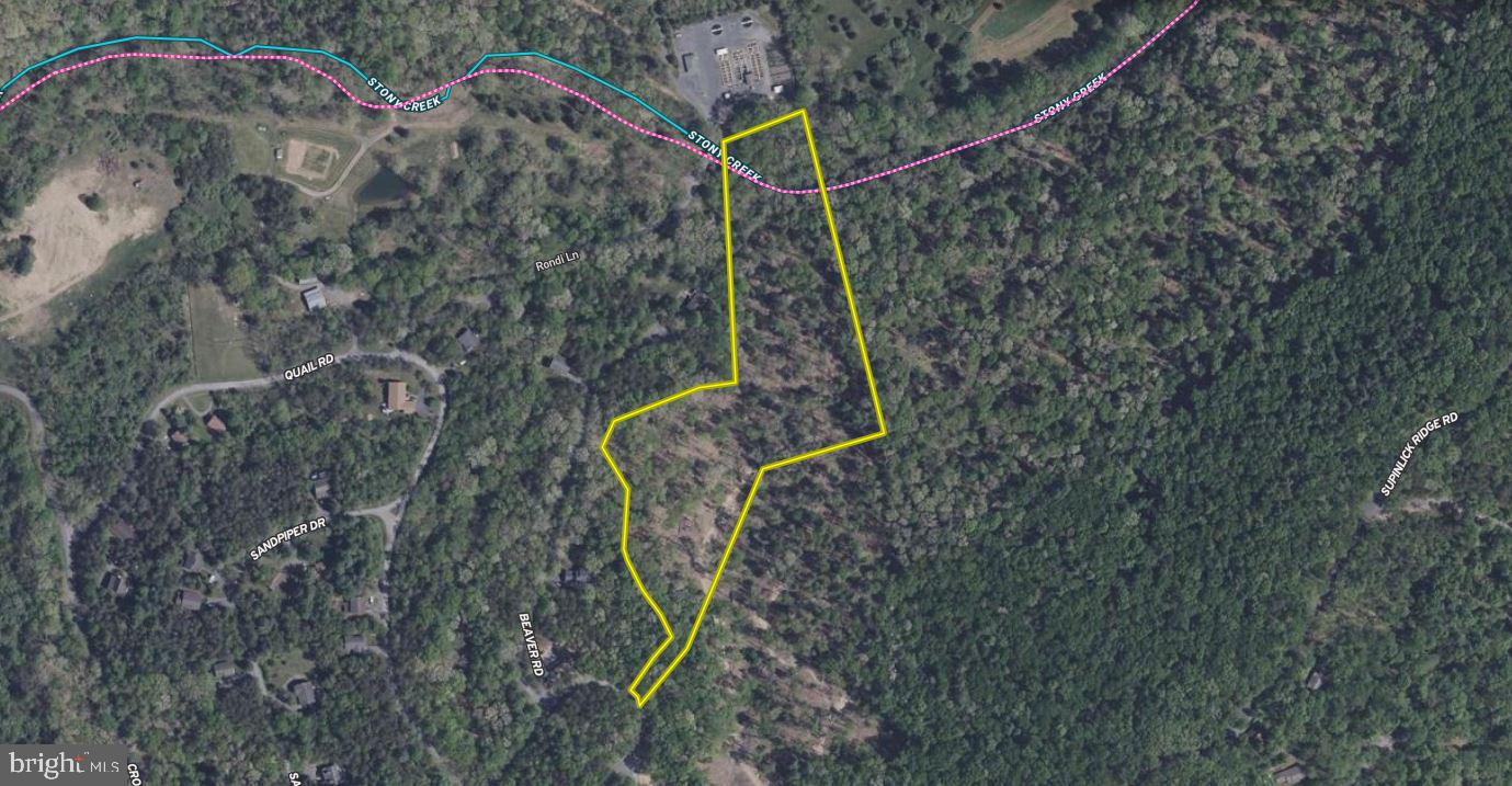 QUAIL RD, BASYE, Virginia 22810, ,Land,For sale,QUAIL RD,VASH2011686 MLS # VASH2011686