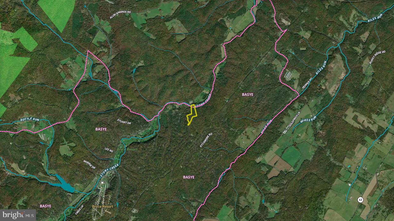 QUAIL RD, BASYE, Virginia 22810, ,Land,For sale,QUAIL RD,VASH2011686 MLS # VASH2011686