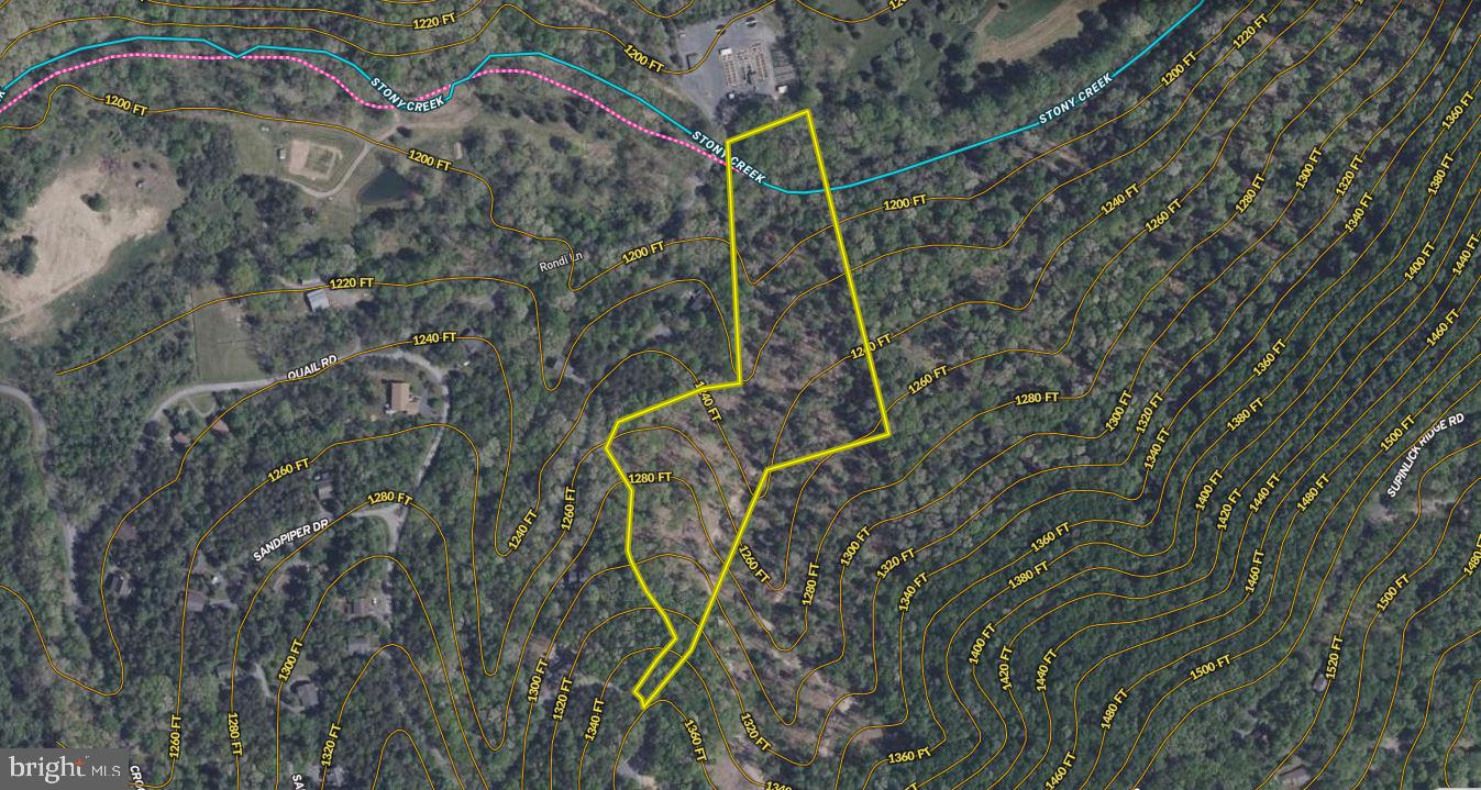 QUAIL RD, BASYE, Virginia 22810, ,Land,For sale,QUAIL RD,VASH2011686 MLS # VASH2011686