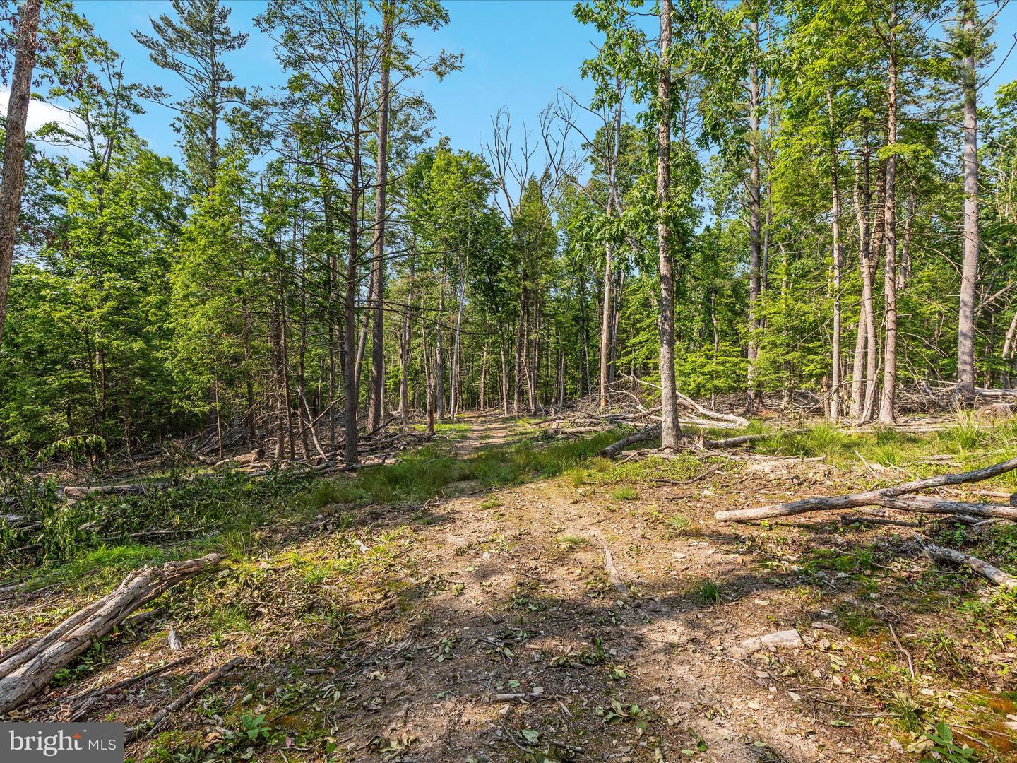QUAIL RD, BASYE, Virginia 22810, ,Land,For sale,QUAIL RD,VASH2011686 MLS # VASH2011686