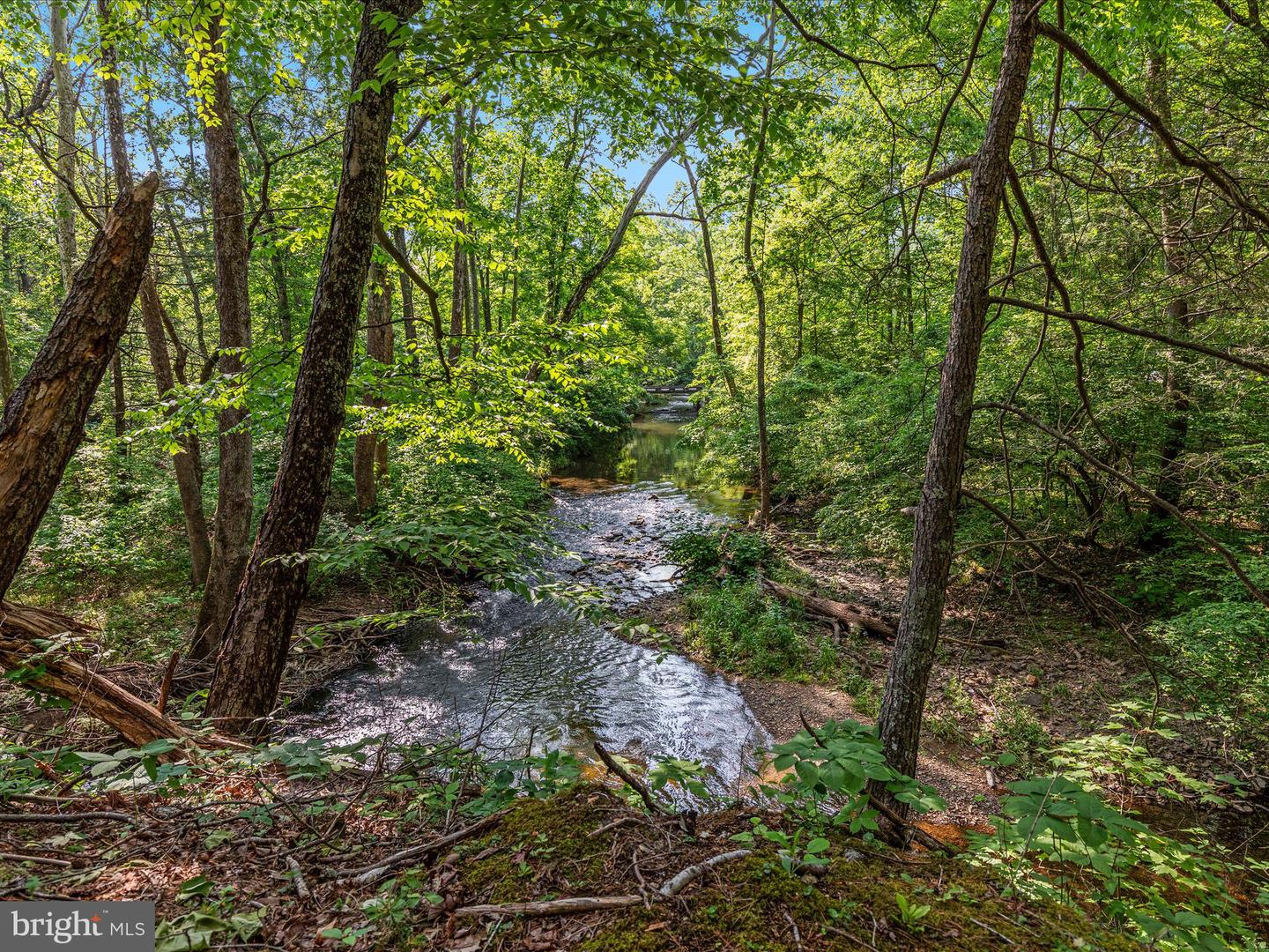 QUAIL RD, BASYE, Virginia 22810, ,Land,For sale,QUAIL RD,VASH2011686 MLS # VASH2011686