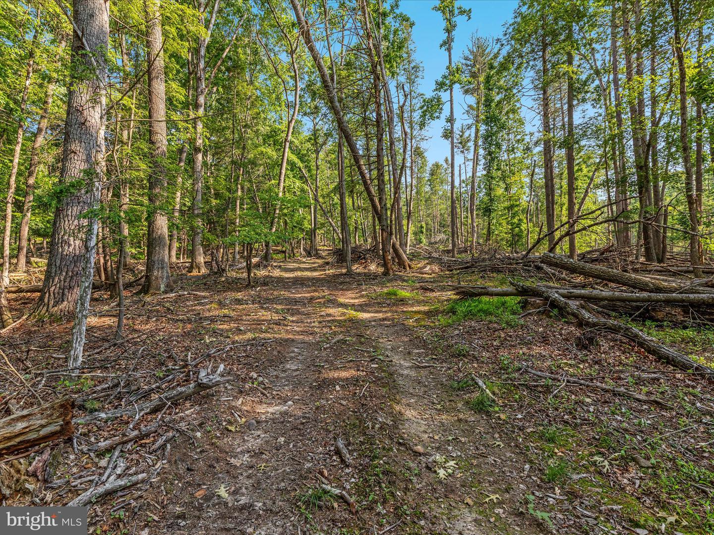 QUAIL RD, BASYE, Virginia 22810, ,Land,For sale,QUAIL RD,VASH2011686 MLS # VASH2011686
