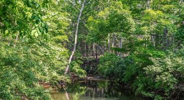 QUAIL RD, BASYE, Virginia 22810, ,Land,For sale,QUAIL RD,VASH2011686 MLS # VASH2011686