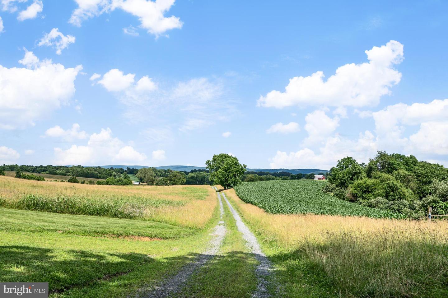 PARSHALL, BERRYVILLE, Virginia 22611, ,Land,For sale,PARSHALL,VACL2003878 MLS # VACL2003878