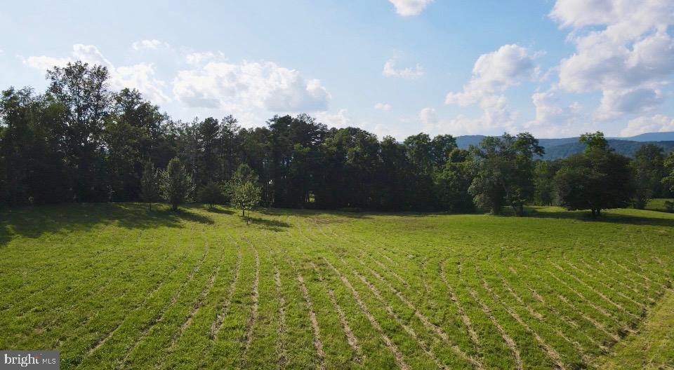 0 ROCK MILLS RD, WOODVILLE, Virginia 22749, ,Land,For sale,0 ROCK MILLS RD,VARP2002172 MLS # VARP2002172