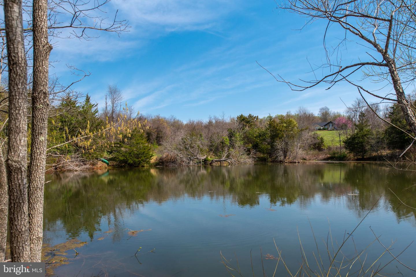 RAPIDAN, Virginia 22733, ,Land,For sale,VAOR2010150 MLS # VAOR2010150