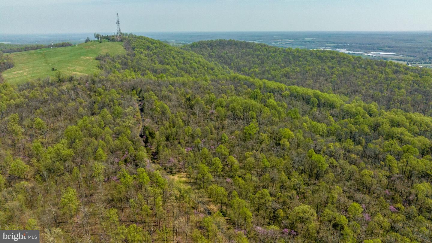 RAPIDAN, Virginia 22733, ,Land,For sale,VAOR2010150 MLS # VAOR2010150