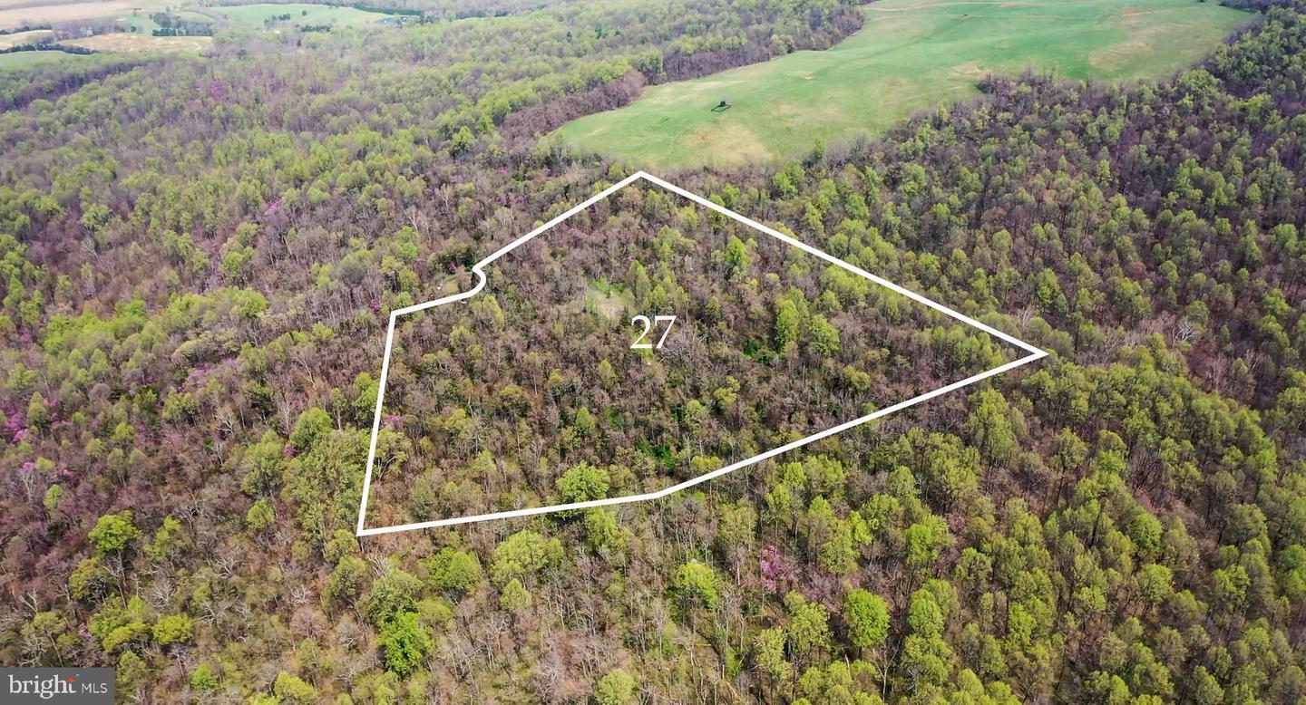 RAPIDAN, Virginia 22733, ,Land,For sale,VAOR2010150 MLS # VAOR2010150