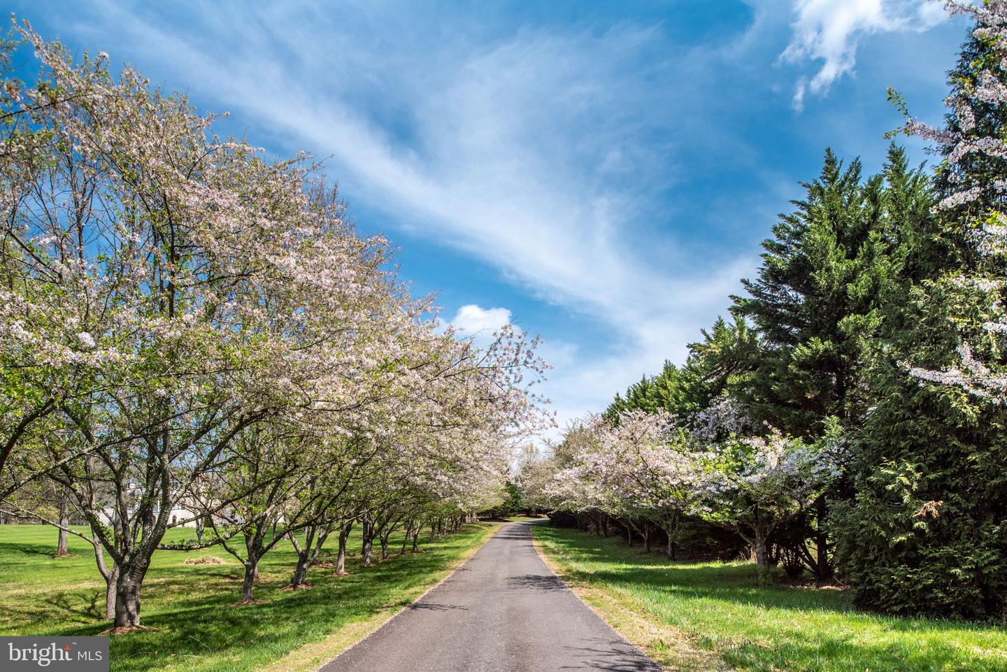 RAPIDAN, Virginia 22733, ,Land,For sale,VAOR2010150 MLS # VAOR2010150