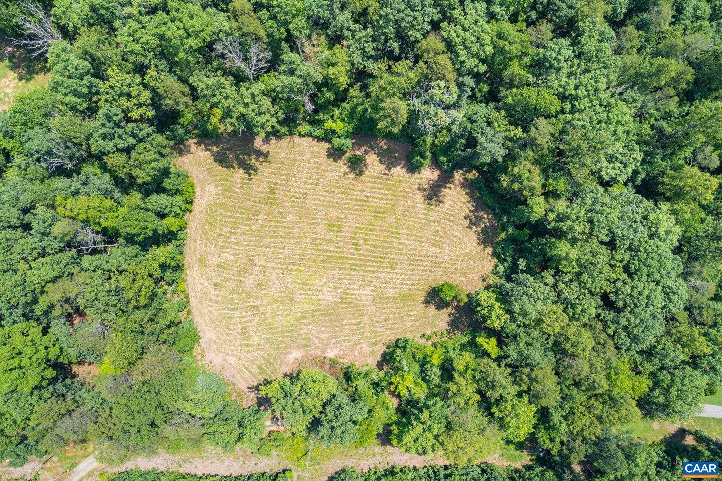 LOT A PENNY LN, CHARLOTTESVILLE, Virginia 22903, ,Land,For sale,LOT A PENNY LN,666582 MLS # 666582