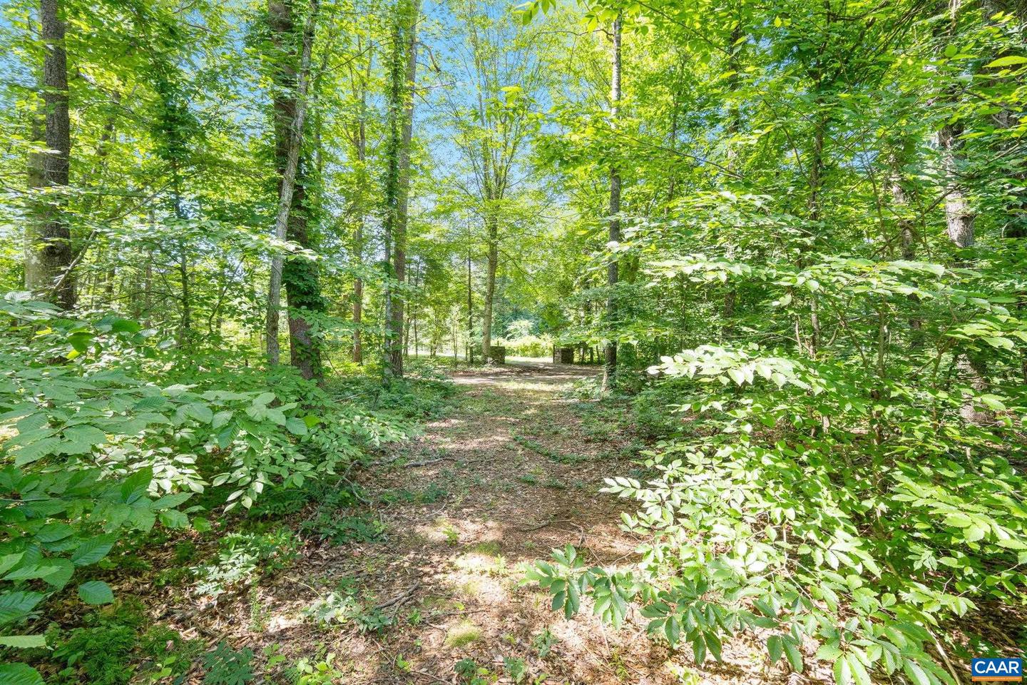 LOT A PENNY LN, CHARLOTTESVILLE, Virginia 22903, ,Land,For sale,LOT A PENNY LN,666582 MLS # 666582