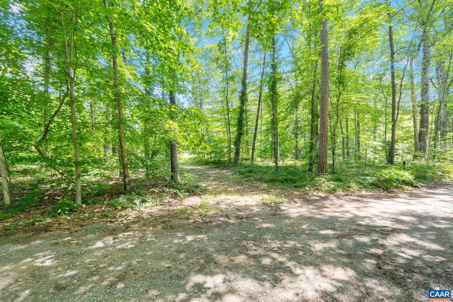 LOT A PENNY LN, CHARLOTTESVILLE, Virginia 22903, ,Land,For sale,LOT A PENNY LN,666582 MLS # 666582