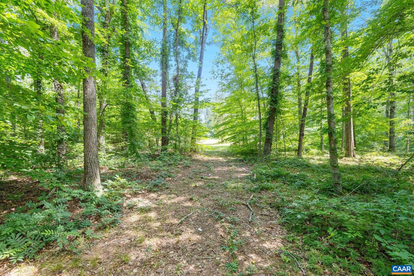 LOT A PENNY LN, CHARLOTTESVILLE, Virginia 22903, ,Land,For sale,LOT A PENNY LN,666582 MLS # 666582